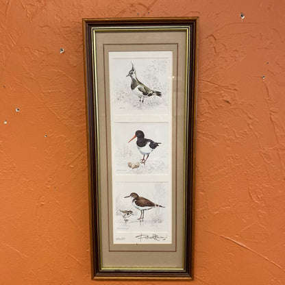 Signed & Numbered Lapwing, Oystercatcher, Common Sandpiper Art