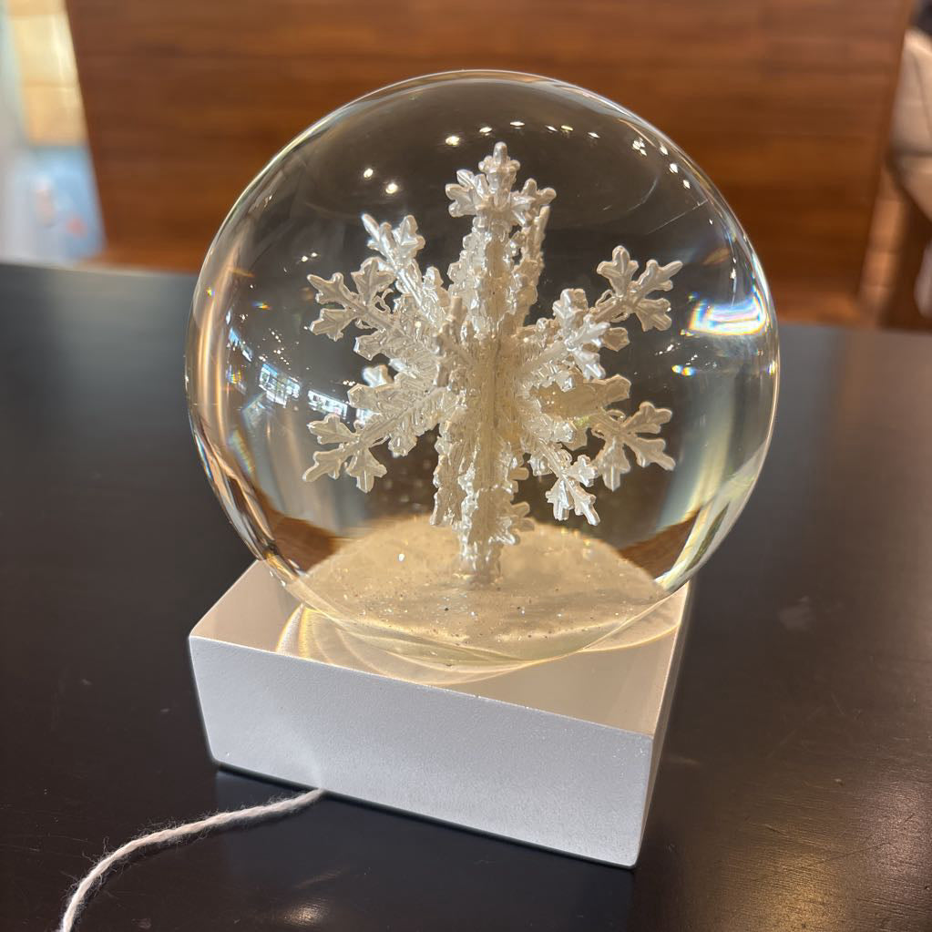 Snowflake Snow Globe