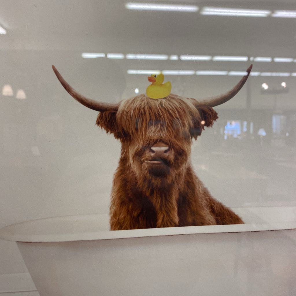 Ducky Ox Tub Art