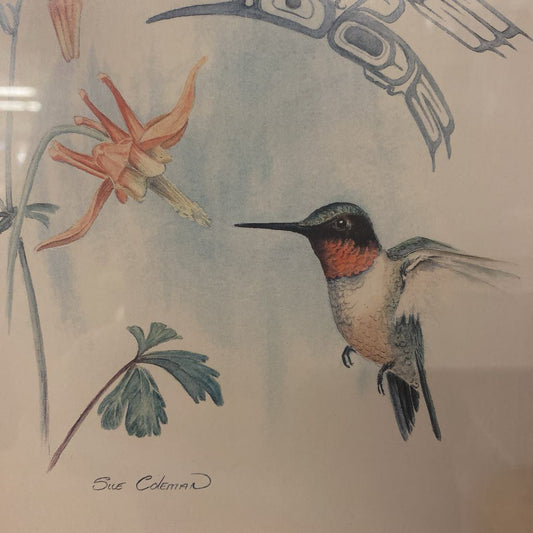 SUSAN J COLEMAN Hummingbird Print