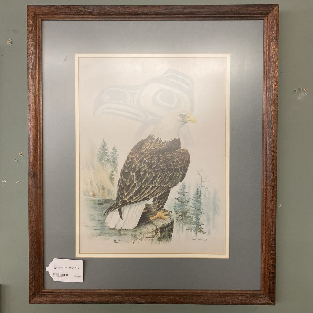 SUSAN J COLEMAN Eagle Print