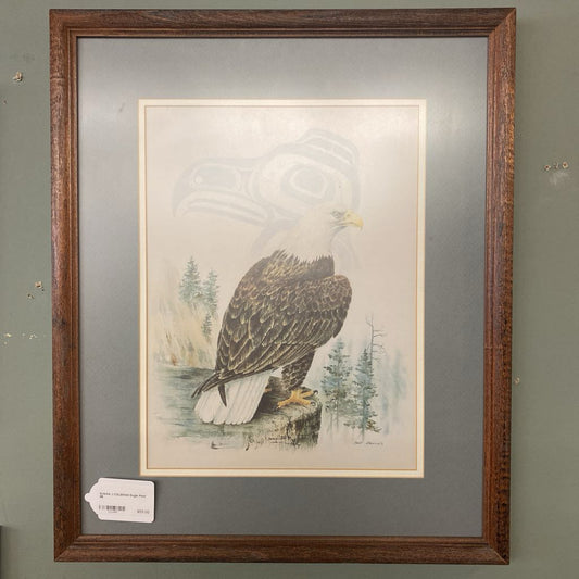 SUSAN J COLEMAN Eagle Print