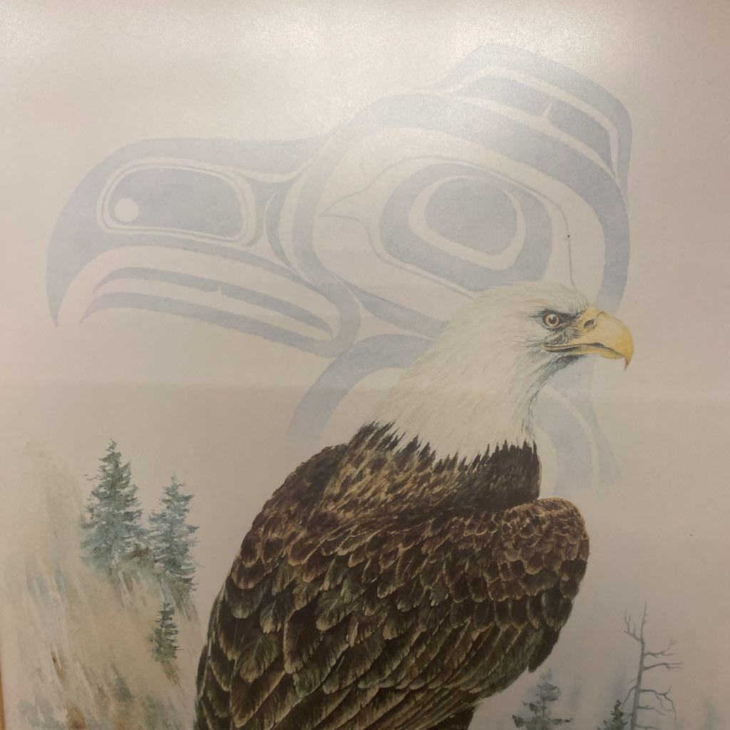 SUSAN J COLEMAN Eagle Print