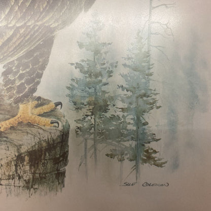 SUSAN J COLEMAN Eagle Print