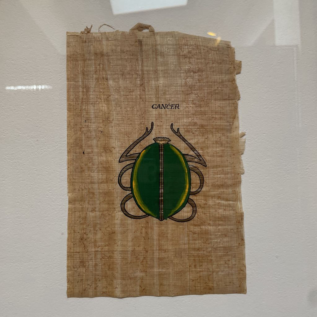Beetle on Papyrus ART
