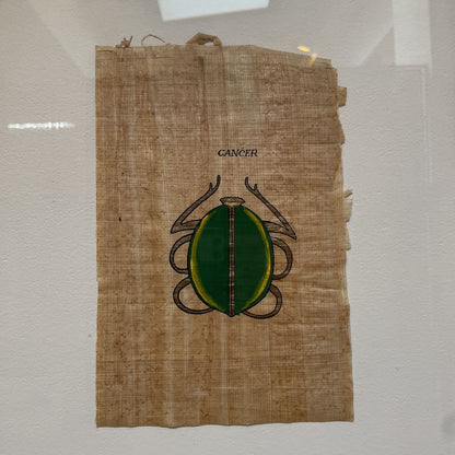 Beetle on Papyrus ART