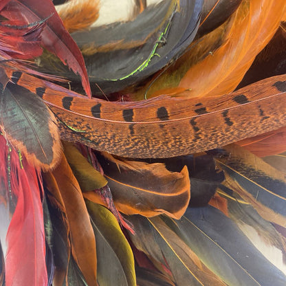 Fall Color Feather Wreath