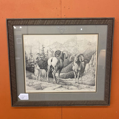 RALPH OBERG Signed & Numbered B&W Bighorn Print
