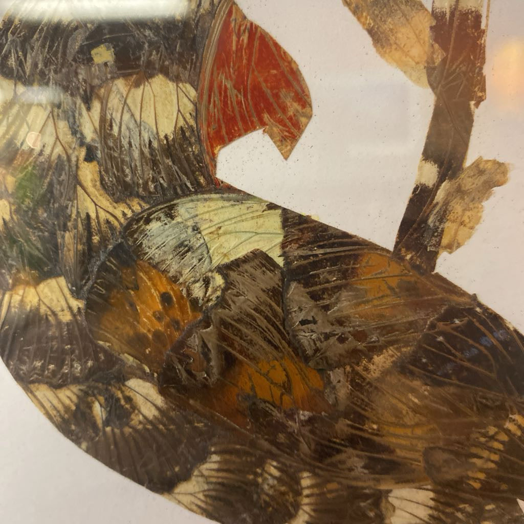 Butterfly Wings Birds Art