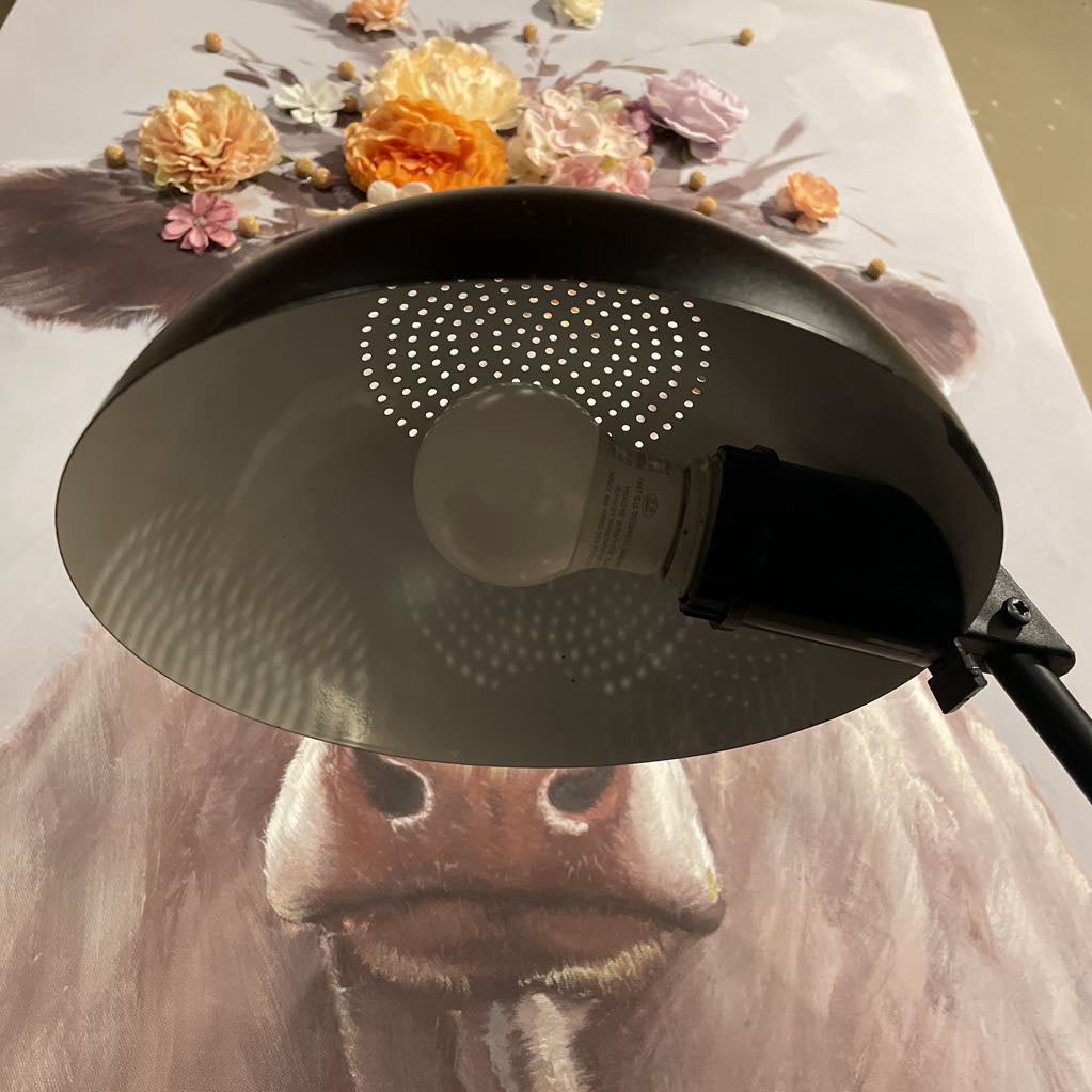 Round Shade & Base Black Desk Lamp LAMPS