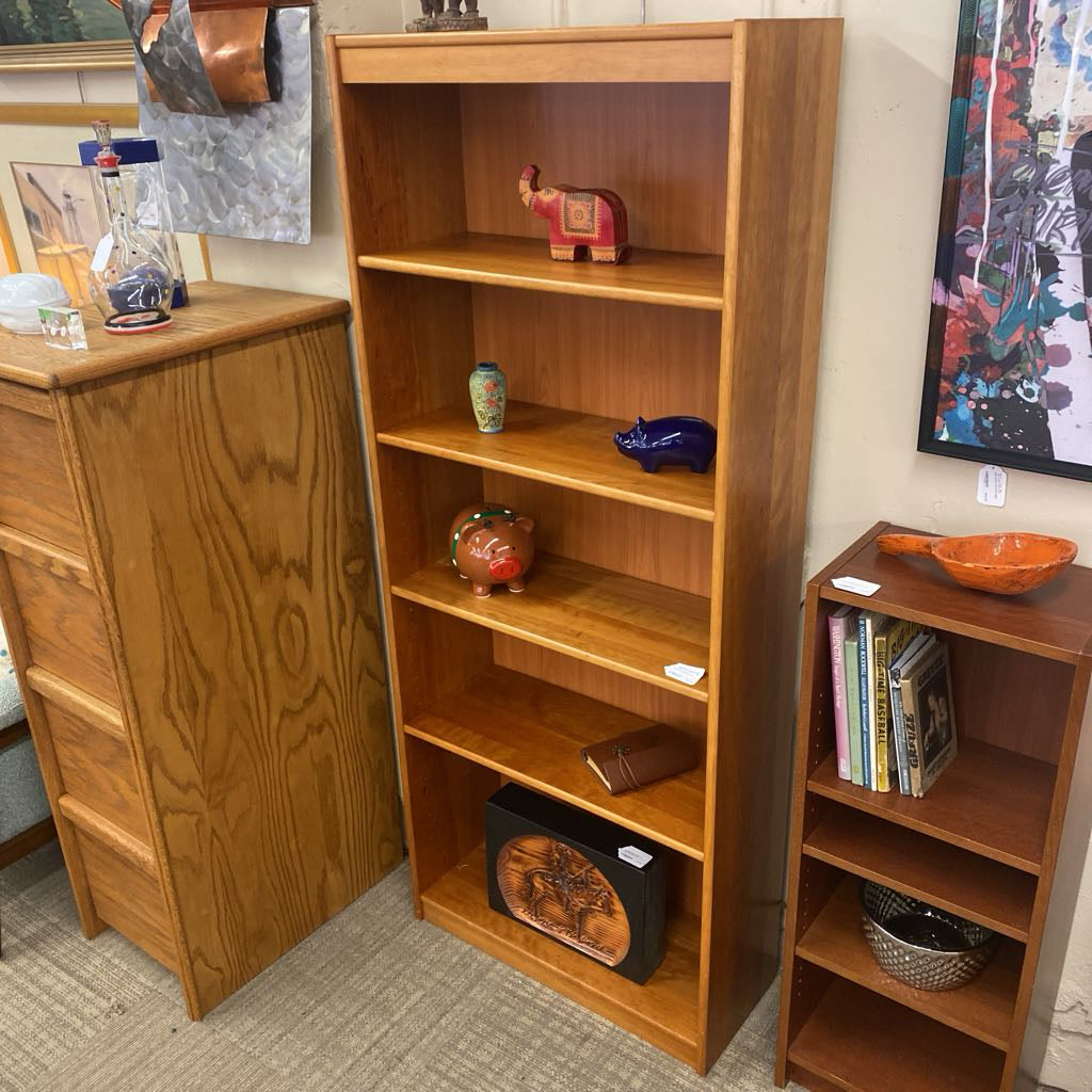 Danish Teak Bookcase