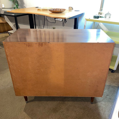 MC 2 Door Cabinet with Brown Veneer C CABINETS