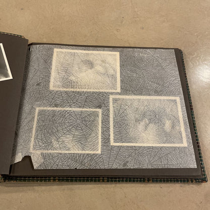 Album of Old German Relatives(Brown & Green Cover)