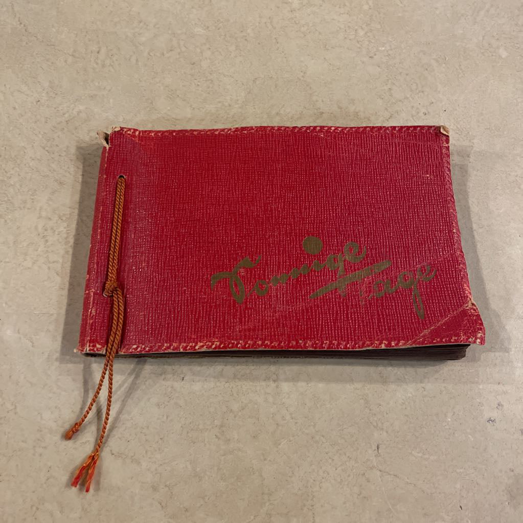 Small Album(RED COVERS)of Old German Relatives Featuring Stern Old Grandfather Kurt!