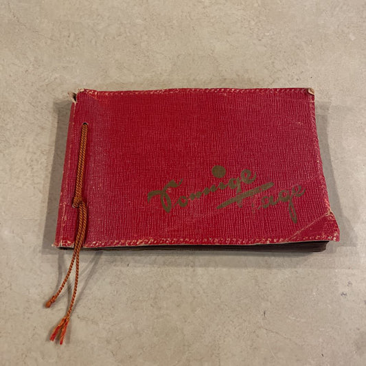 Small Album(RED COVERS)of Old German Relatives Featuring Stern Old Grandfather Kurt! UNIQUE FINDS