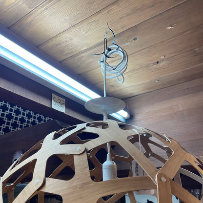 David Trubridge Coral Chandelier LAMPS