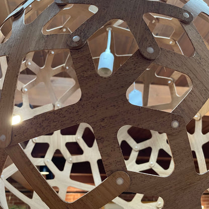 David Trubridge Coral Chandelier LAMPS