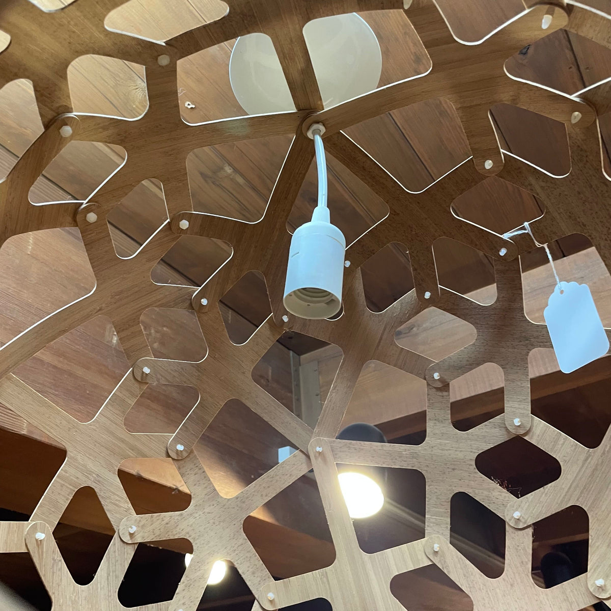 David Trubridge Coral Chandelier LAMPS