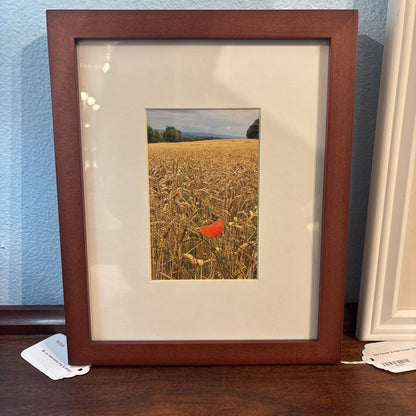 Red Flower in Field Picture ART