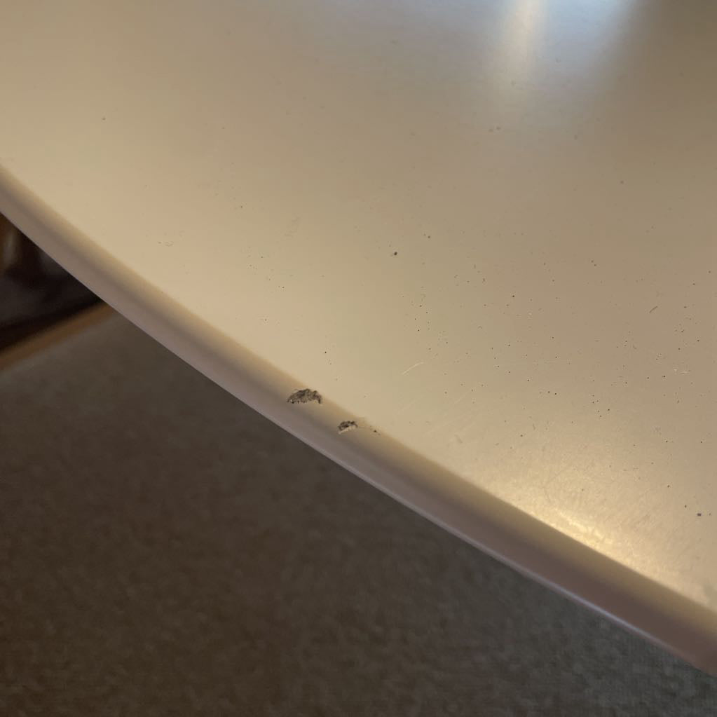 CB2 White Round Dining Table C DINING TABLES