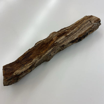 Petrified Wood SMALLS