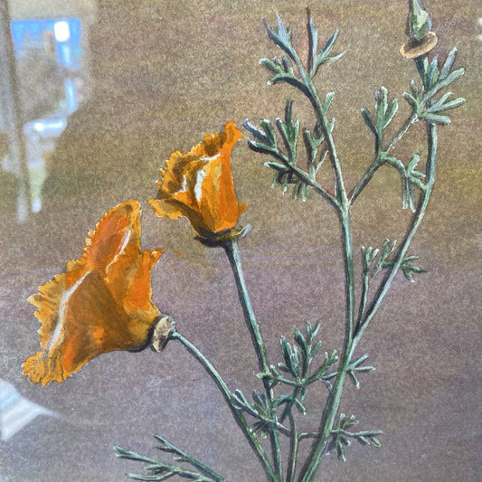 Signed Poppy Art (AS IS)