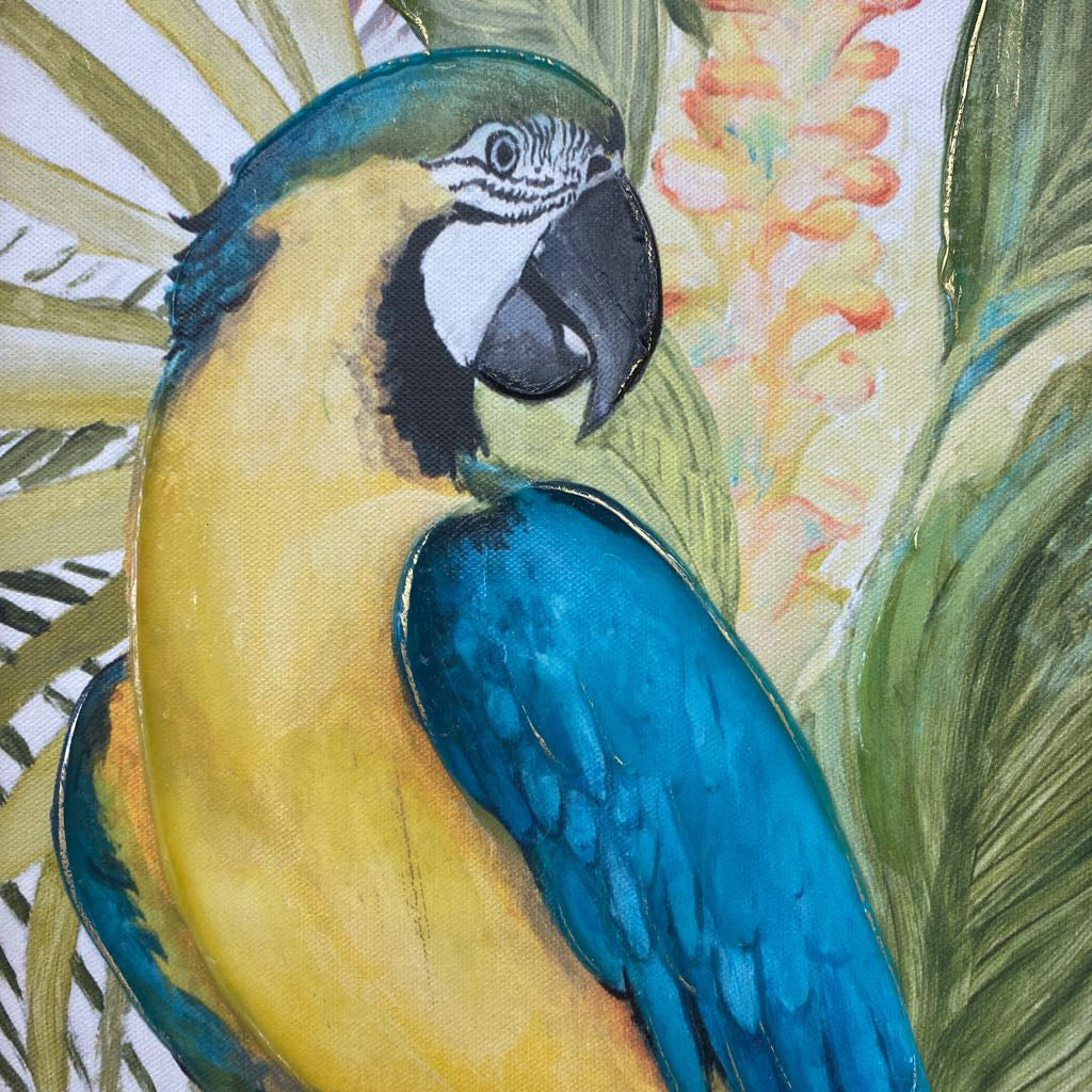 Parrot Enhanced Print ART
