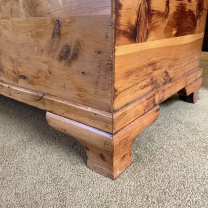 Large Pine Trunk C TRUNKS