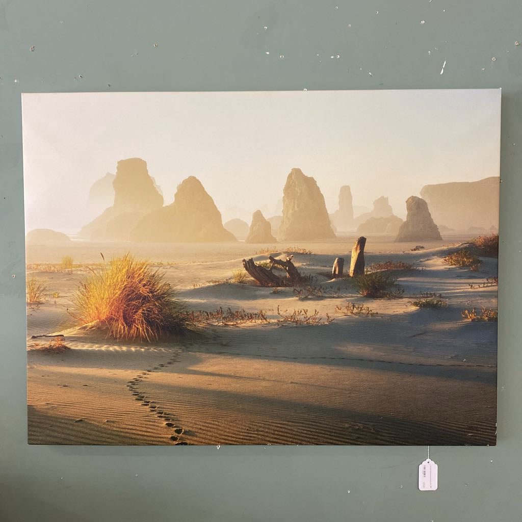 Sand & Driftwood Canvas Art ART