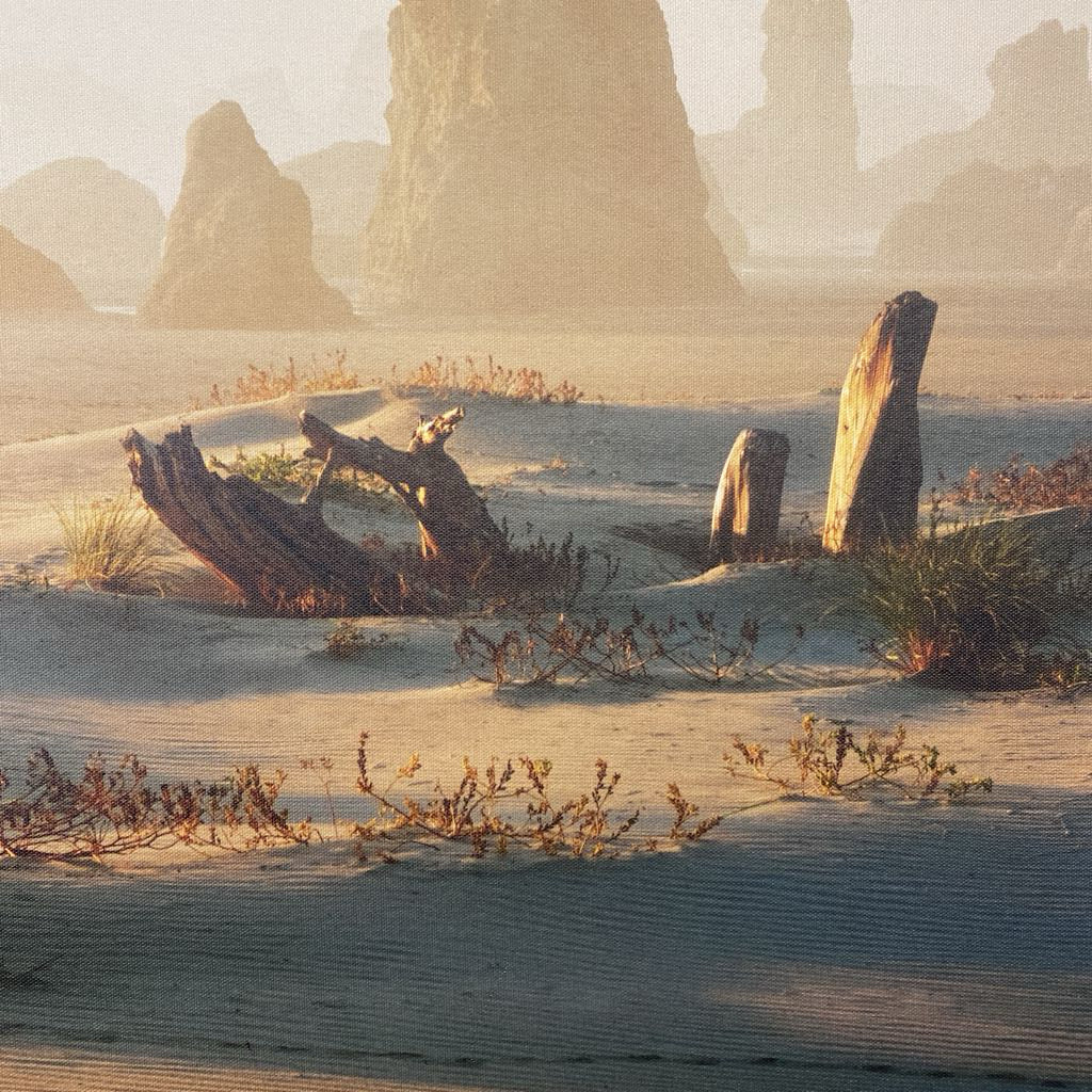 Sand & Driftwood Canvas Art ART