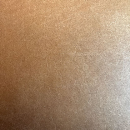 Daphne Tan Leather Sofa