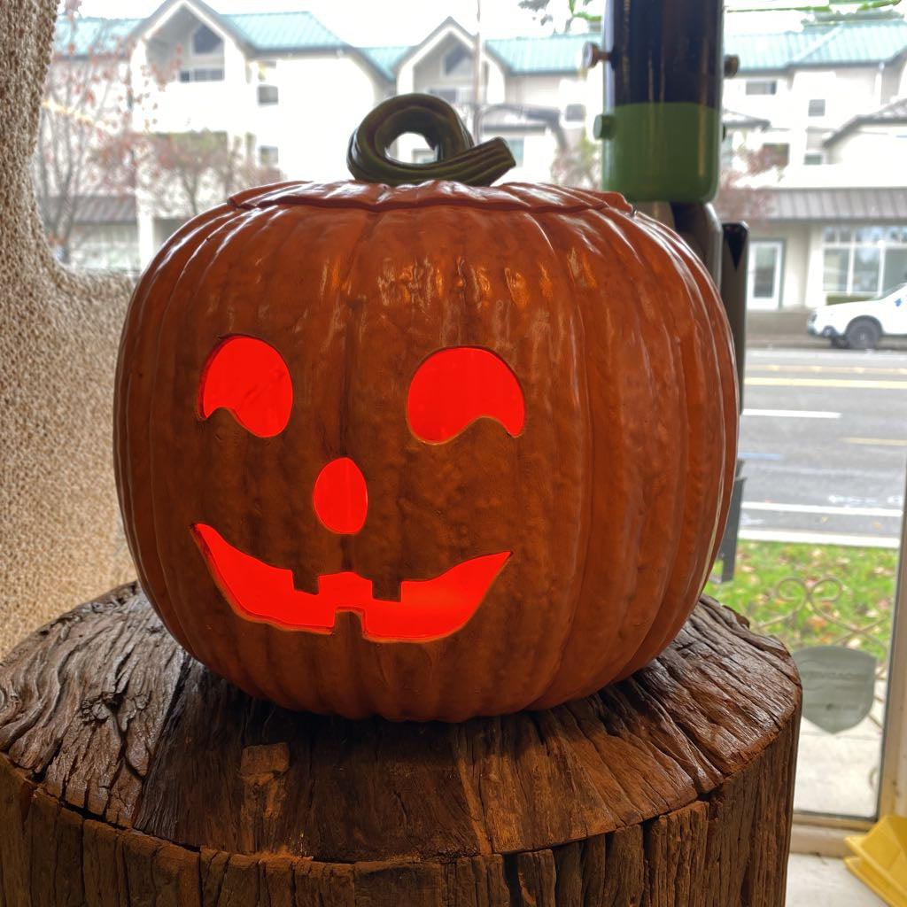 JACK-O-LANTERN! LIGHTS UP! SMALLS